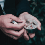 Lebensgefahr für Hunde: Snus
