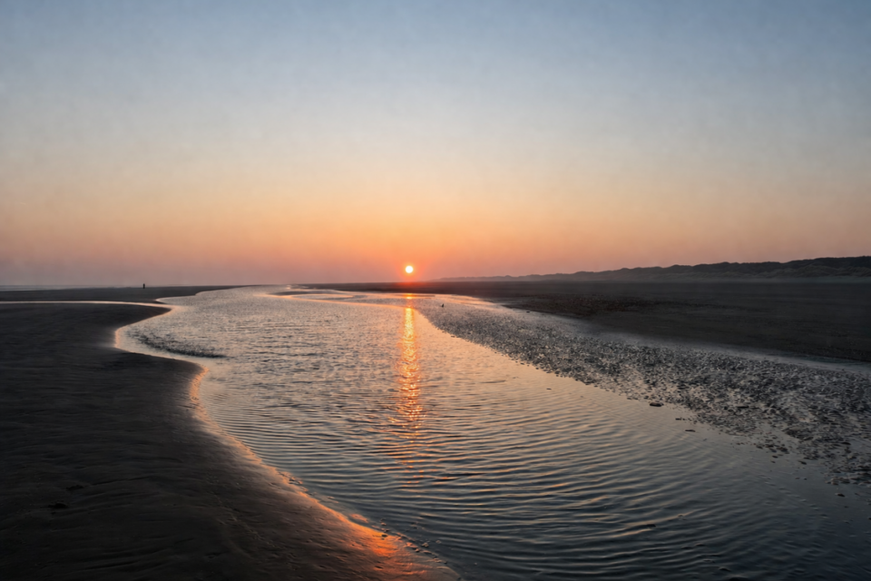 Juist mit Hund Strand Nordsee